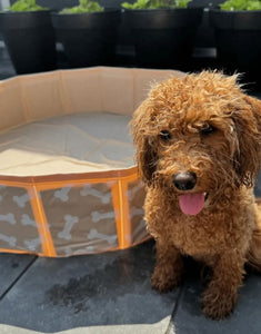 Beiger Hundepool Bonebash ø80 cm von Swim Essentials mit Knochenprint – perfekte Abkühlung für Hunde im Sommer.