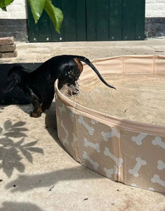Beiger Hundepool Bonebash ø80 cm von Swim Essentials mit Knochenprint – perfekte Abkühlung für Hunde im Sommer.