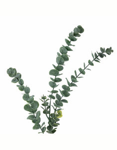 Kunstblume Eukalyptus Stiel I Grün