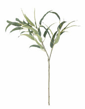 Laden Sie das Bild in den Galerie-Viewer, Kunstblume Eukalyptus Willow Stiel I Grün
