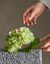 Laden Sie das Bild in den Galerie-Viewer, Kunstblume Hydrangea I Hortensie Grün
