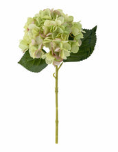 Laden Sie das Bild in den Galerie-Viewer, Kunstblume Hydrangea I Hortensie Grün
