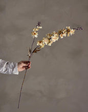 Laden Sie das Bild in den Galerie-Viewer, Kunstblume Larkspur Stiel I Natur
