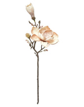 Laden Sie das Bild in den Galerie-Viewer, Kunstblume Magnolie H 58cm I Rose
