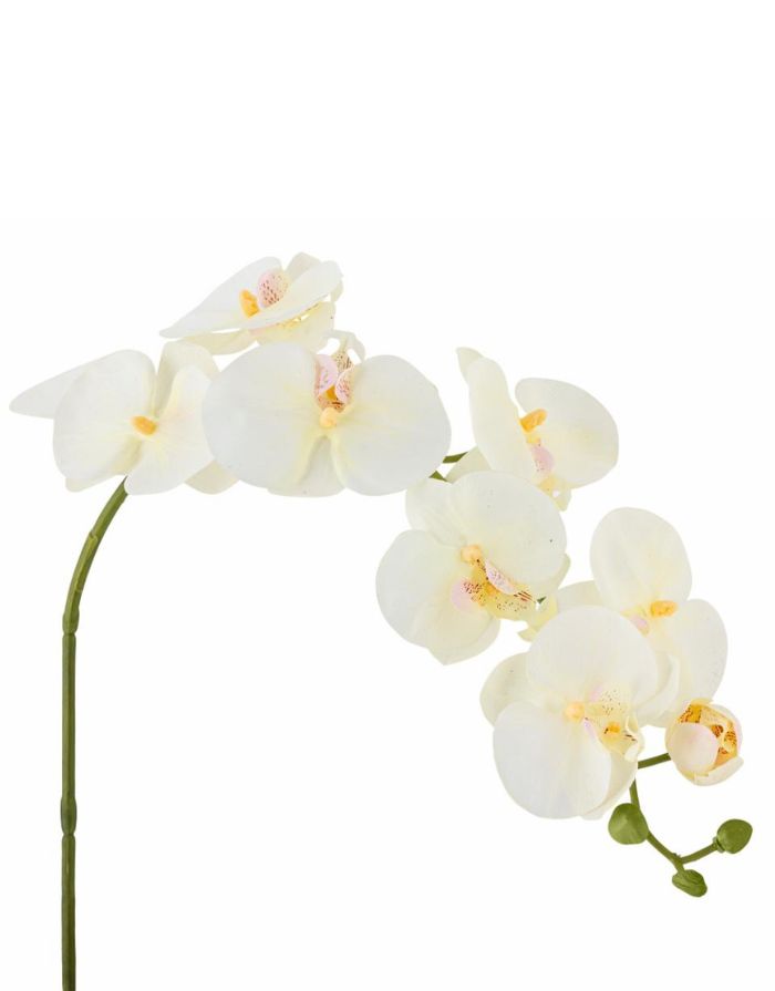 Kunstblume Orchid Stiel I Weiß