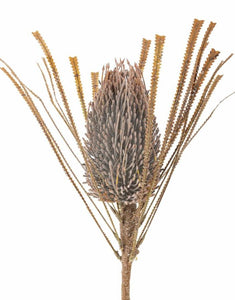 Kunstblume Palmflower Stiel I Braun