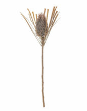 Laden Sie das Bild in den Galerie-Viewer, Kunstblume Palmflower Stiel I Braun
