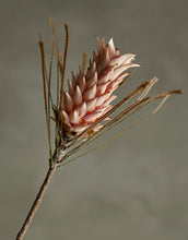 Laden Sie das Bild in den Galerie-Viewer, Kunstblume Palmflower Stiel I Rose
