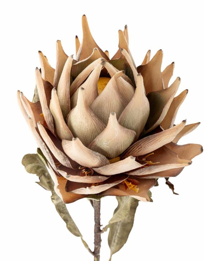 Kunstblume Protea Stiel I Natur