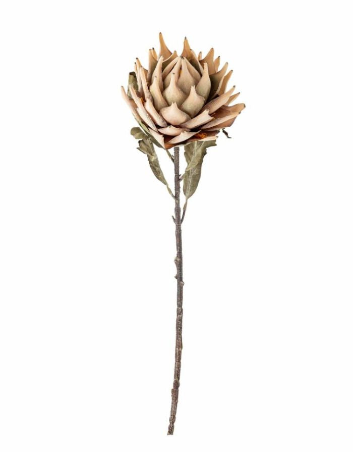 Kunstblume Protea Stiel I Natur