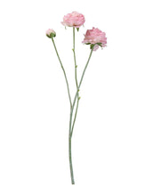 Laden Sie das Bild in den Galerie-Viewer, Kunstblume Ranunkel H 48cm I Rose
