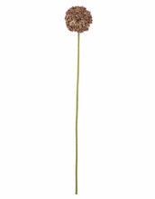 Laden Sie das Bild in den Galerie-Viewer, Kunstblume Allium Stiel I Braun
