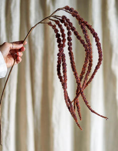 Kunstblume Foxtail Stiel I Braun