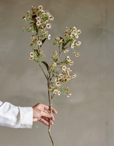 Kunstblume Wachsblume Stiel I Weiß