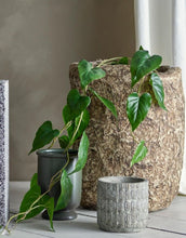 Laden Sie das Bild in den Galerie-Viewer, Kunstpflanze Anthurium I Grün
