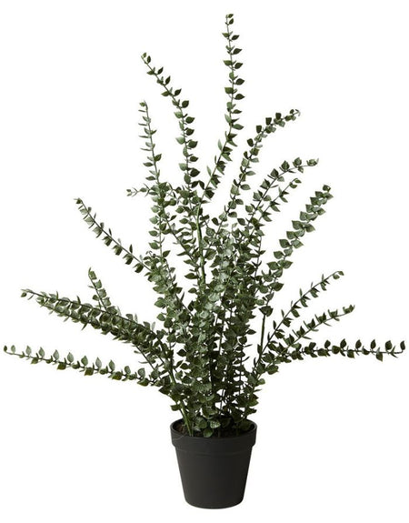 Kunstpflanze Eukalyptus H 72cm I Grün – nordlykk