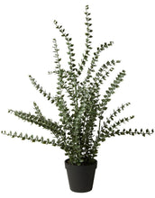 Laden Sie das Bild in den Galerie-Viewer, Kunstpflanze Eukalyptus H 72cm I Grün
