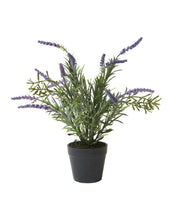 Laden Sie das Bild in den Galerie-Viewer, Kunstpflanze Lavendel im Topf H 30cm I Green/Purple

