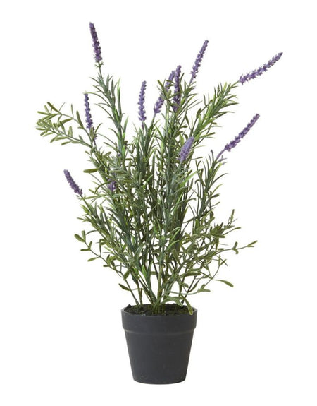 Kunstpflanze Lavendel im Topf H 41cm I Green/Purple – nordlykk