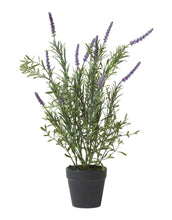 Laden Sie das Bild in den Galerie-Viewer, Kunstpflanze Lavendel im Topf H 41cm I Green/Purple
