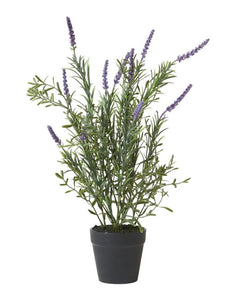 Kunstpflanze Lavendel im Topf H 41cm I Green/Purple