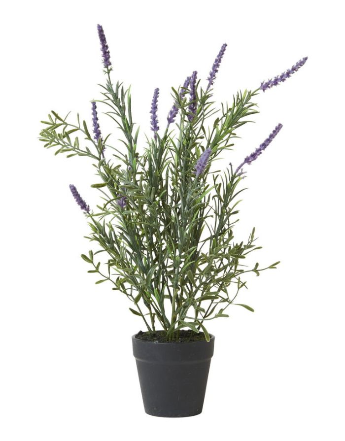 Kunstpflanze Lavendel im Topf H 41cm I Green/Purple