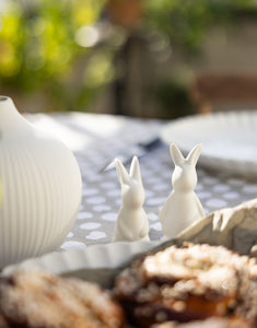 Hase Frans I White
