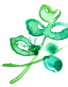 Schokolade I Hint Of Mint