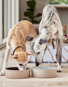 Hunde Futtermatte Koko I Camel
