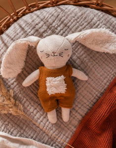 Rassel Hase I Rost