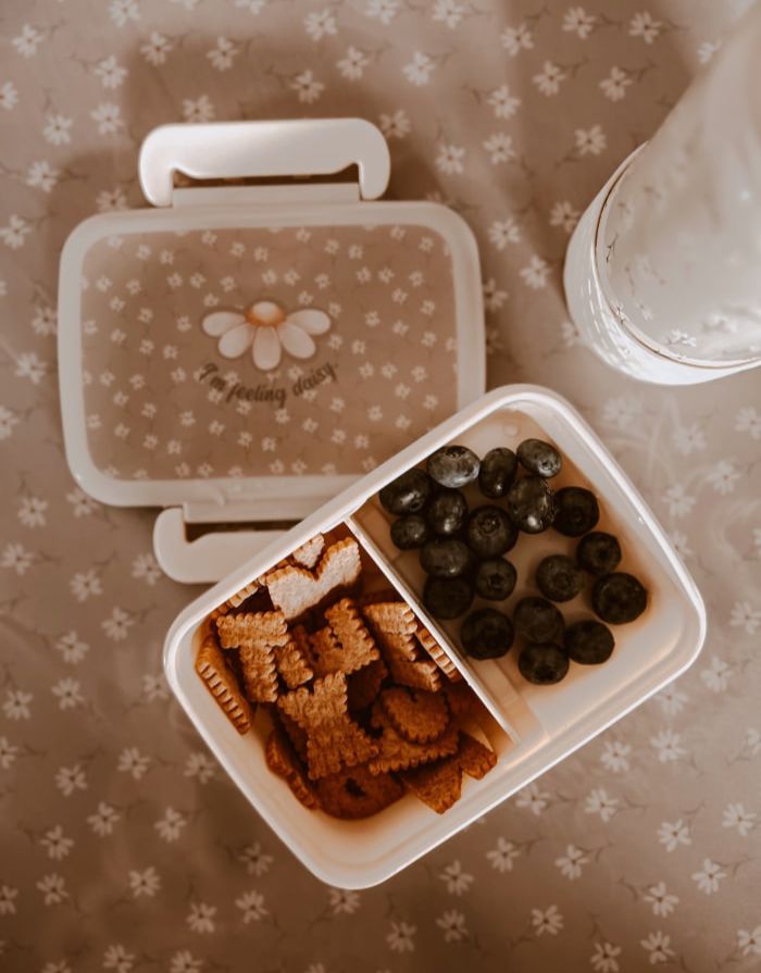 Lunchbox I Little Daisys