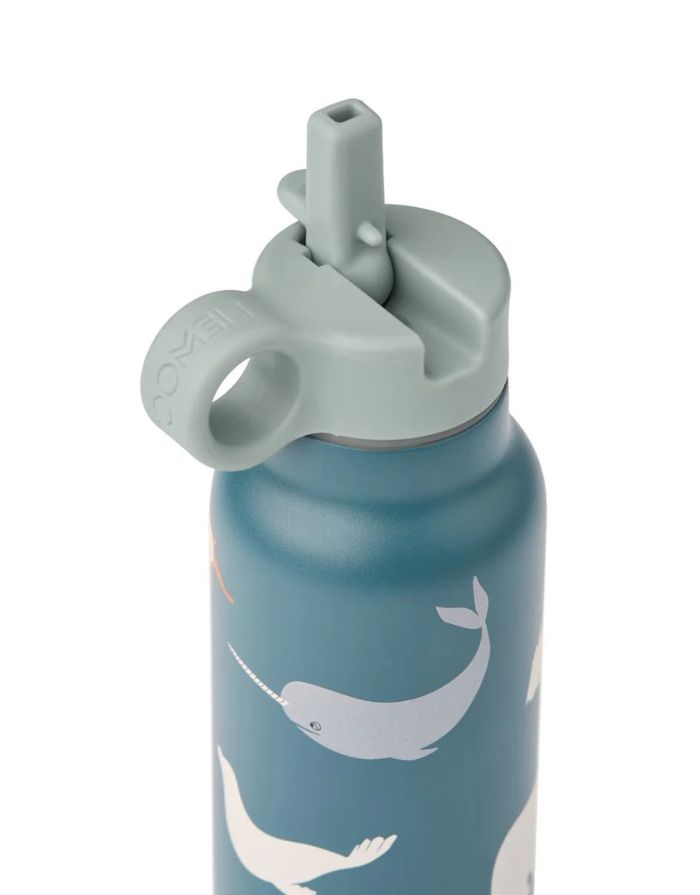 Flasche Falk 350ml I Arctic Sea/Ocean View