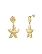 Laden Sie das Bild in den Galerie-Viewer, Ohrringe Starry Beach I Gold
