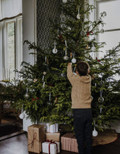 Laden Sie das Bild in den Galerie-Viewer, Weihnachtsbaumkugeln Barnen Bullerbü I Chapter 3
