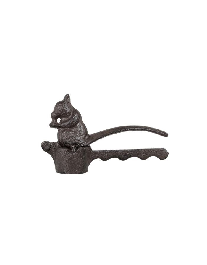 Nussknacker I Eichhörnchen