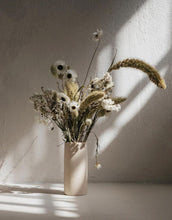 Laden Sie das Bild in den Galerie-Viewer, Trockenblumen Bunchie I Antik

