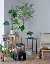 Laden Sie das Bild in den Galerie-Viewer, Blumentopf Ilda hängend I Grün
