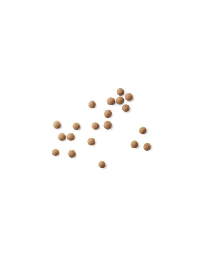 Lakritz D-Salt & Caramel I 270g