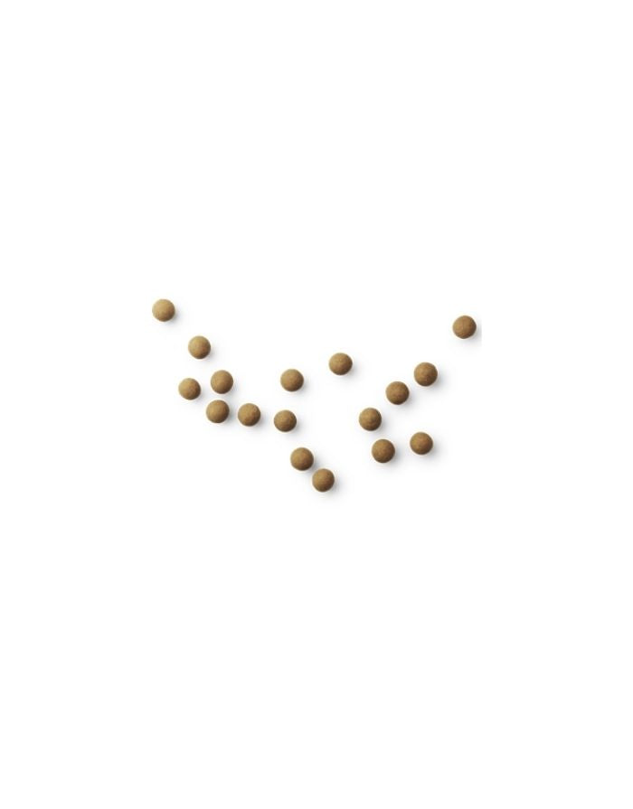 Lakritz A-The Original I 115g