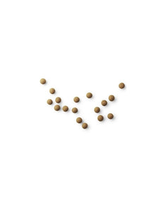 Lakritz D-Salt & Caramel 125g