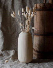 Laden Sie das Bild in den Galerie-Viewer, Vase Åby I Beige
